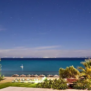 https://kopsis-beach.hotelschalkidiki.net